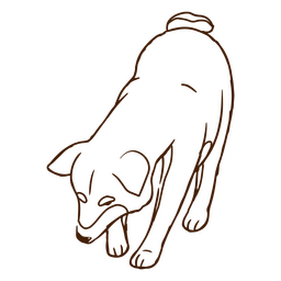 Cachorro Shiba Inu cavando Desenho PNG