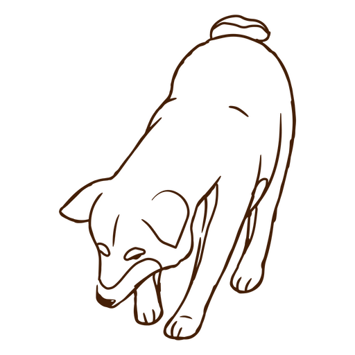 Cachorro Shiba Inu cavando Desenho PNG