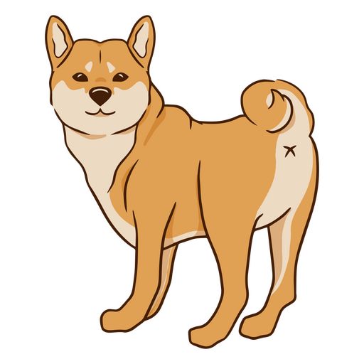 Lindo cachorro raça Shiba Inu Desenho PNG