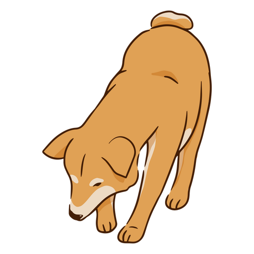 Cão bonito raça Shiba Inu cavando Desenho PNG