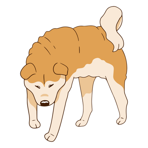 cachorro da raça Akita Inu Desenho PNG