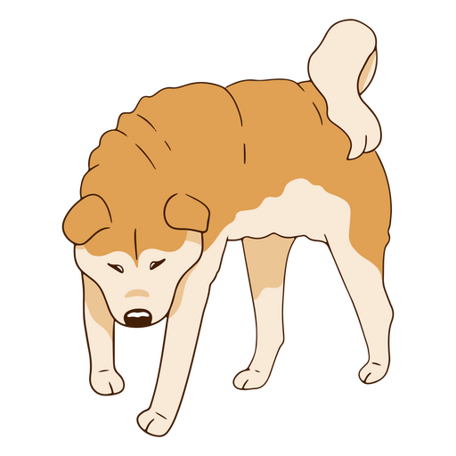 Perro de raza Akita Inu Diseño PNG