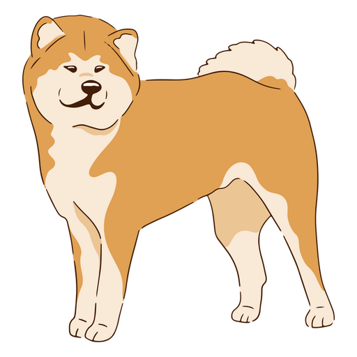 Cão amigo de Akita Inu Desenho PNG