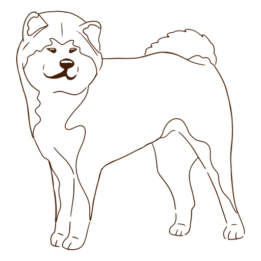 cachorro da raça Akita Inu Desenho PNG