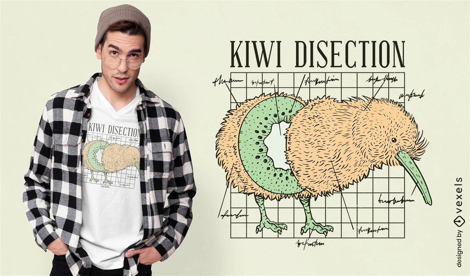 Design de camiseta de anatomia engra?ada de animal kiwi