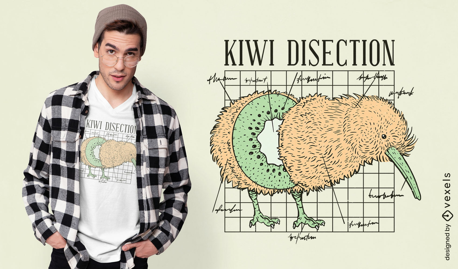 Design de camiseta de anatomia engraçada de animal kiwi