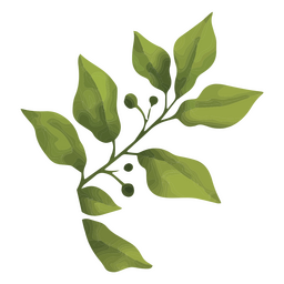 Hojas de parra de planta de acuarela Diseño PNG