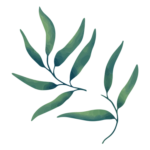 Folhas de planta de casa em aquarela Desenho PNG
