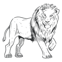 Arte de línea de león caminando Diseño PNG