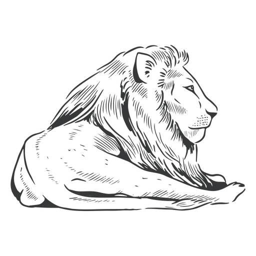 Postura de arte de linha de leão Desenho PNG
