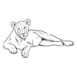 Lion line art female laying PNG Design
