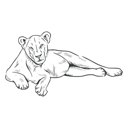 Lion line art female laying PNG Design