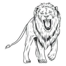 Rugido de arte de linha de leão Desenho PNG