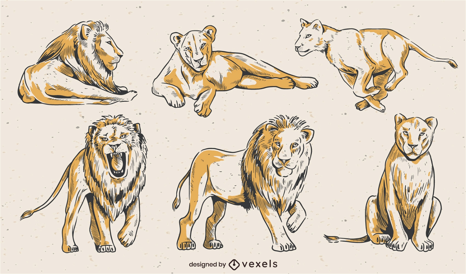 Diseño de escenografía de arte de línea de león
