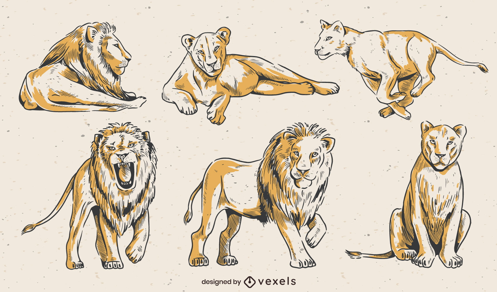 Lion line art set design