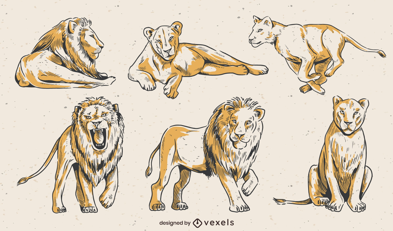 Lion Line-Art-Set-Design