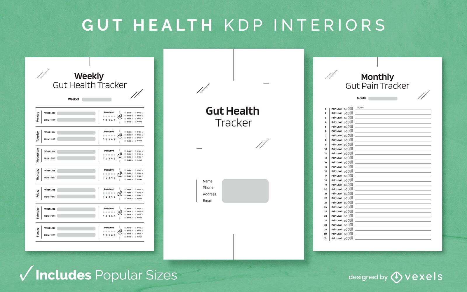 Design-Vorlage für Darmgesundheits-Tracker KDP