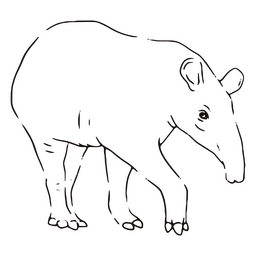 Golpe de tapir animal de vida silvestre Diseño PNG