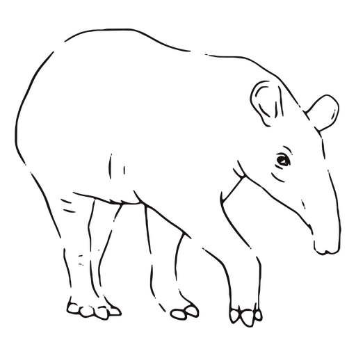 Curso de anta de animais selvagens Desenho PNG