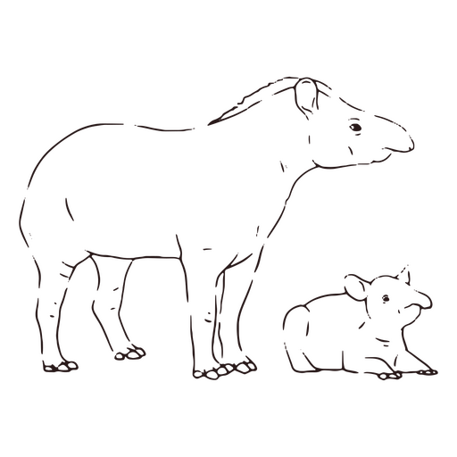 Curso de anta animal bebê da vida selvagem Desenho PNG