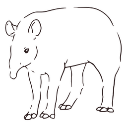 Curso de anta selvagem Desenho PNG