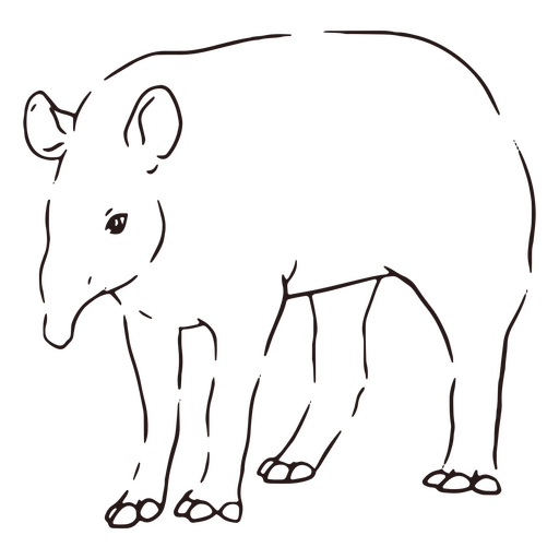 Wildlife tapir stroke PNG Design