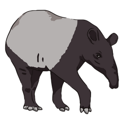 Wildlife tapir PNG Design Transparent PNG