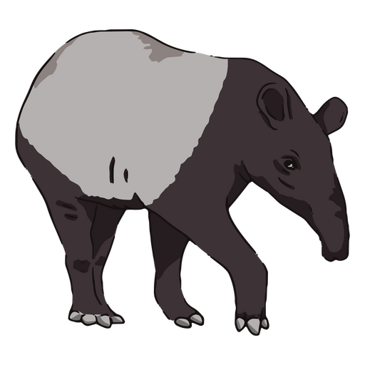 Wildlife tapir PNG Design
