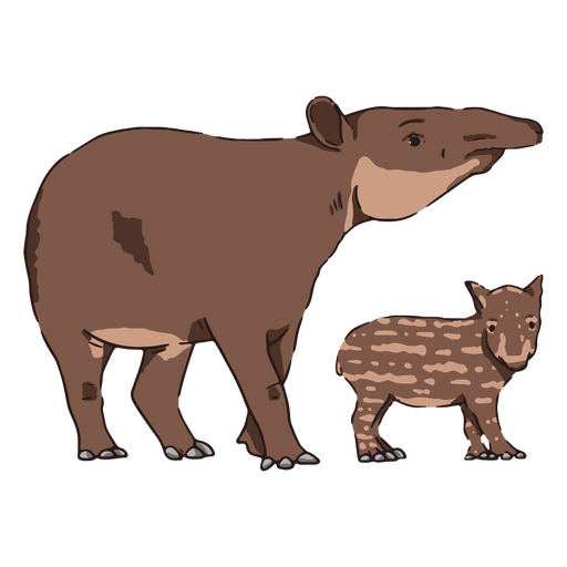 Wildlife baby and mother tapir