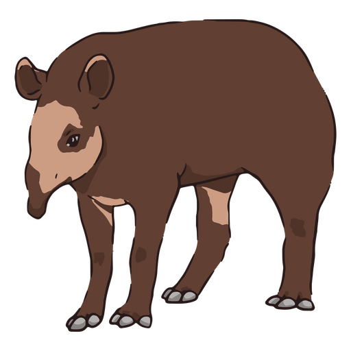 Tapir marr?n de vida silvestre Diseño PNG