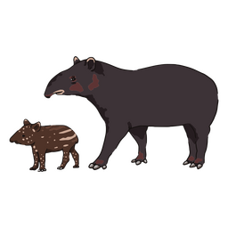 Wildlife baby animal tapir PNG Design