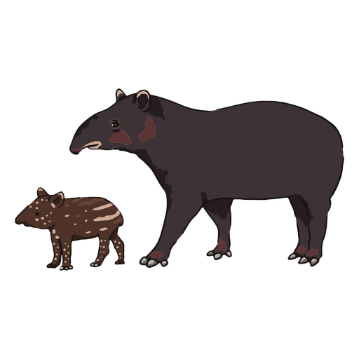 Wildlife baby animal tapir