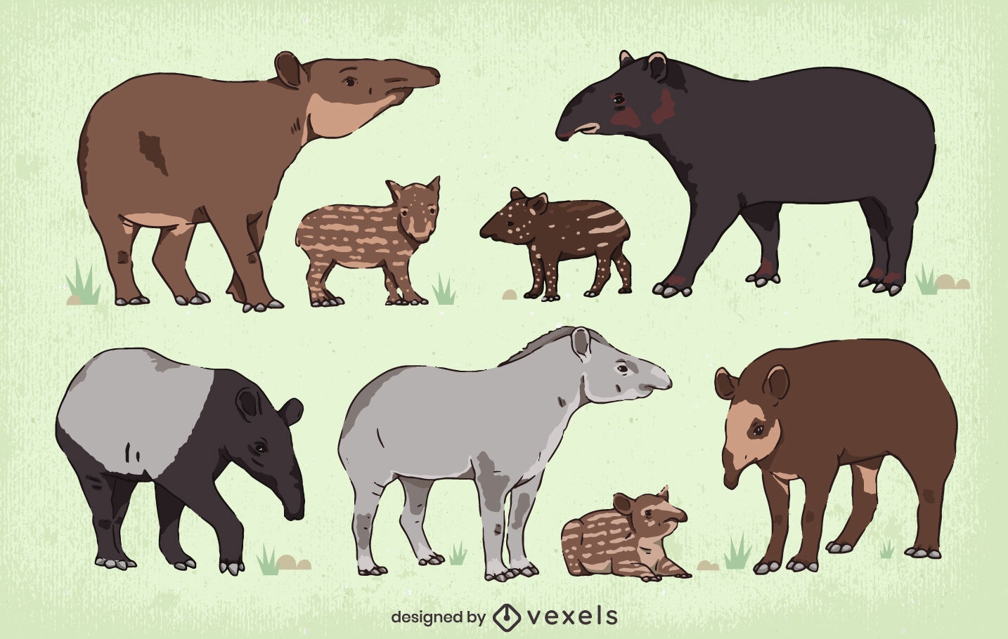 Wildlife tapir animal character set