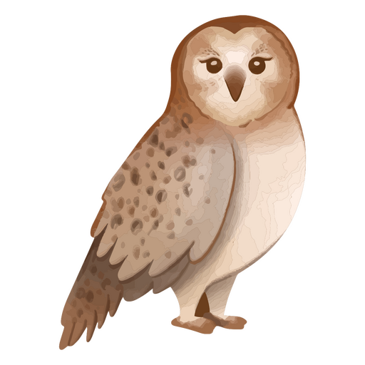 Watercolor owl animal