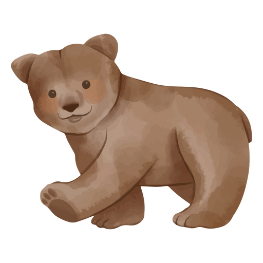 Animal oso acuarela Diseño PNG
