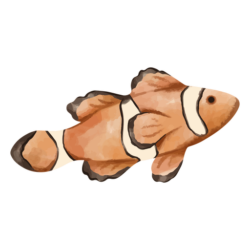 Um peixe palhaço do mar Desenho PNG