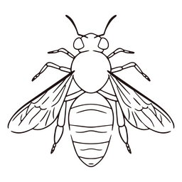 Bee animal insect stroke PNG Design