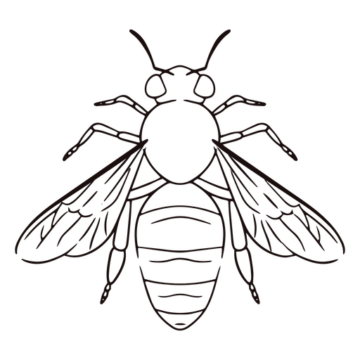 Bee animal insect stroke PNG Design