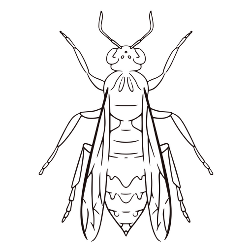 Animal de trazo de insecto abeja Diseño PNG