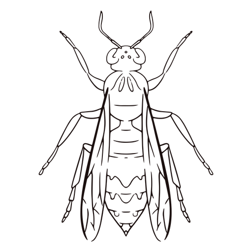 Bee insect stroke animal PNG Design