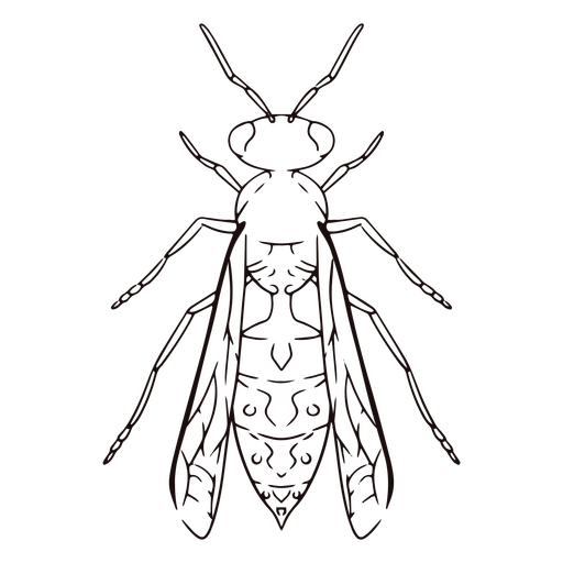 Curso de animal de inseto de abelha Desenho PNG