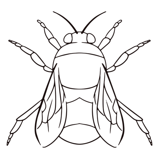 Curso de animal de abelha Desenho PNG