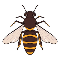 Insecto abeja frontal Diseño PNG