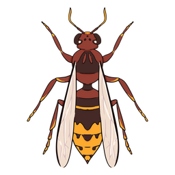 Insecto abeja roja delantera Diseño PNG