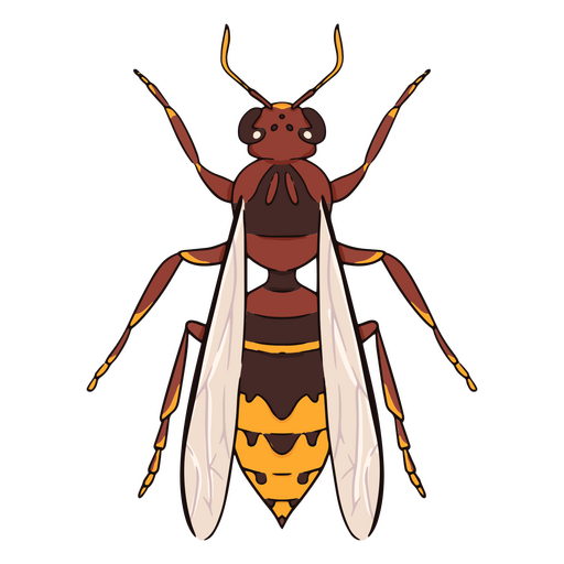 Front red bee insect PNG Design