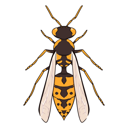 Inseto de abelha de natureza frontal Desenho PNG