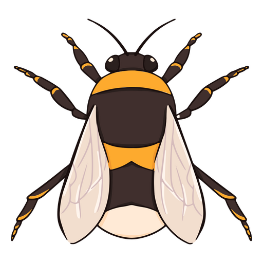 Nature bee insect PNG Design