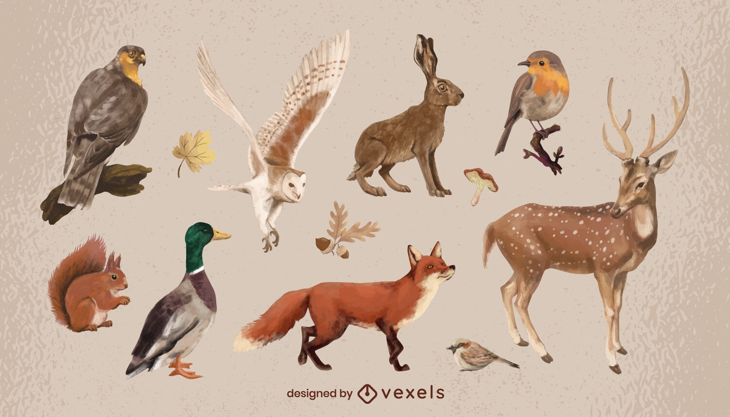 Conjunto de animais de floresta em aquarela