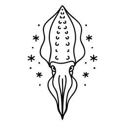Lula do mar Desenho PNG
