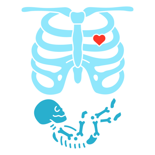 Esqueleto em posição fetal Desenho PNG